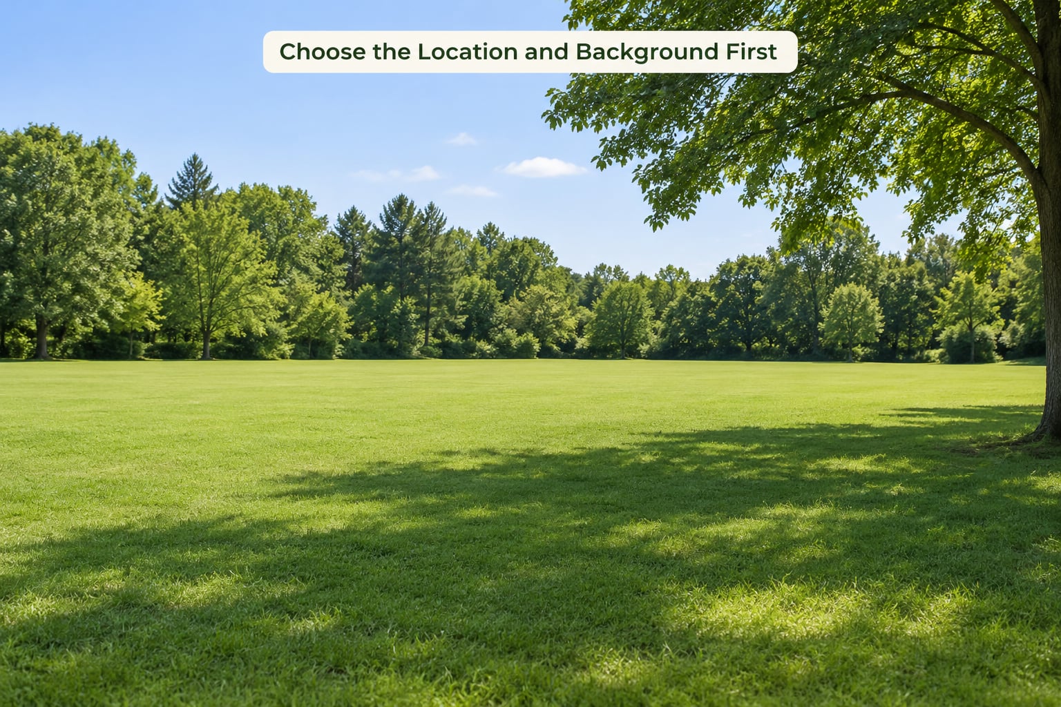 Choose the Location and Background First