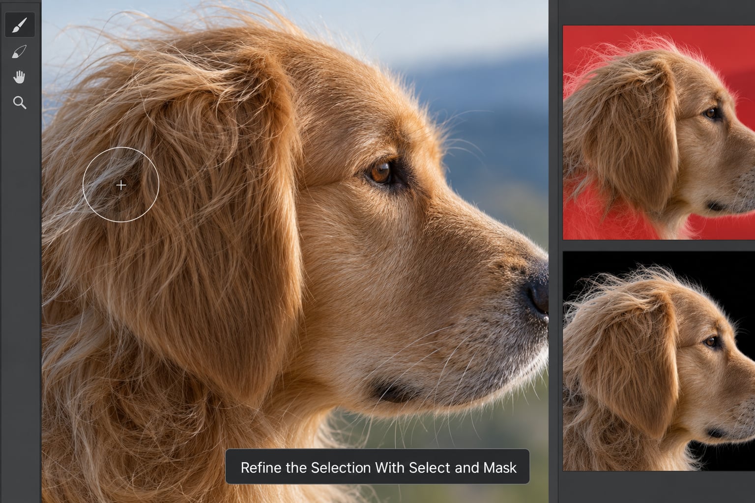 Refine the Selection With Select and Mask