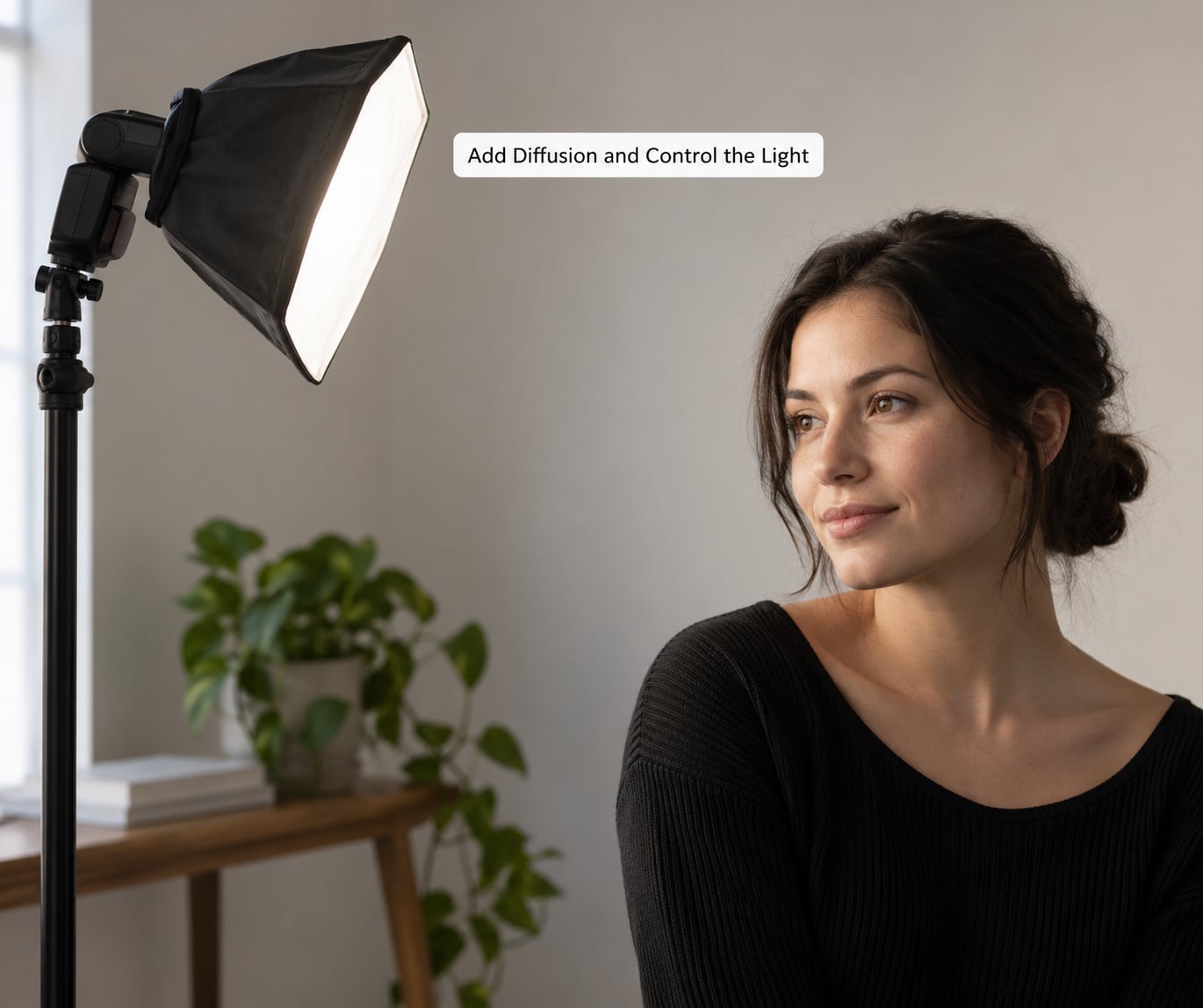 Add Diffusion and Control the Light